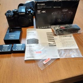 最終値下げ Panasonic LUMIX DC-G99 ミラーレス一眼