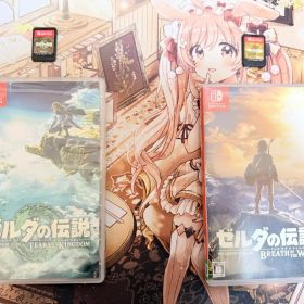 ゼルダの伝説 ティアキン&ブレワイセット