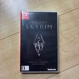 The Elder Scrolls V: Skyrim スカイリム スイッチ