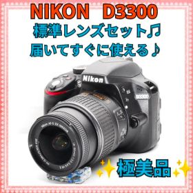 すぐ使える✨Nikon D3300✨オマケたくさん✨