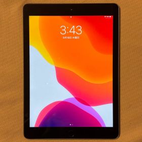 iPad第6世代32GB Wi-Fiバッテリー88%貴重iOS13.7付属品新品