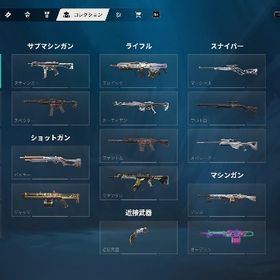 VALORANT Champions2021セット その他スキン多数 | VALORANT(ヴァロラント)のアカウントデータ、RMTの販売・買取一覧