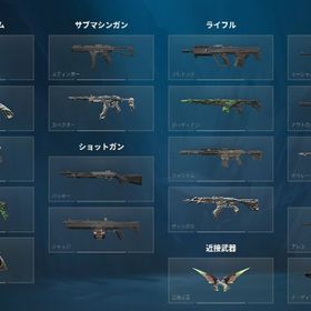 再出品 スキン有アカウント サブ垢 | VALORANT(ヴァロラント)のアカウントデータ、RMTの販売・買取一覧