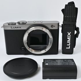 ★極上品★Panasonic LUMIX S9 ボディ DC-S9-S ダークシルバー