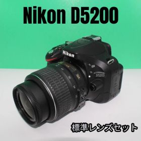 【極美品・動作確認済】Nikon D5200標準レンズセット