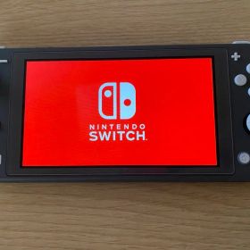 Nintendo Switch Lite グレー 充電器 フィルム スプラ2付き