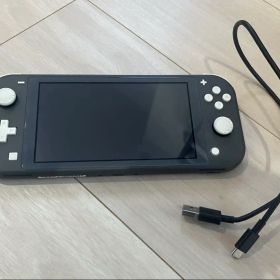 (訳あり理由コメ欄)Nintendo Switch Lite グレー