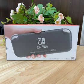 Nintendo Switch Lite グレー