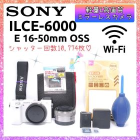 ❤即購入1000円OFF❤ ソニー α6000 驚異の11コマ/秒!! 高速連写