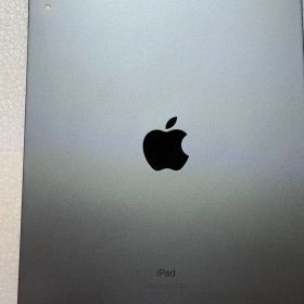 iPad PRO11インチ256GB Apple SIMフリー スペースグレイ