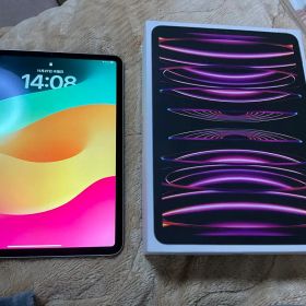Apple iPad Pro 11インチ 第4世代 128GB