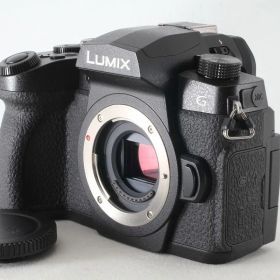 Panasonic パナソニック LUMIX DC-G99 ボディ ブラック 僅か10421ショット ストラップ付◇47408