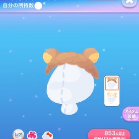 ポケコロのメイン画像