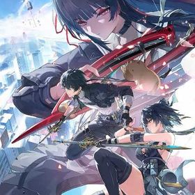 人気 | 鳴潮(Wuthering Waves)のアカウントデータ、RMTの販売・買取一覧