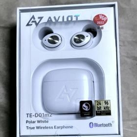 AVIOT TE-D01m2-WH トゥルーワイヤレスイヤホン ポーラーホワイト
