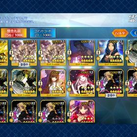 完凸（カレスコ・黒聖杯・欠片）Uオルガマリー、宝具5スペースエレ | FGOのアカウントデータ、RMTの販売・買取一覧