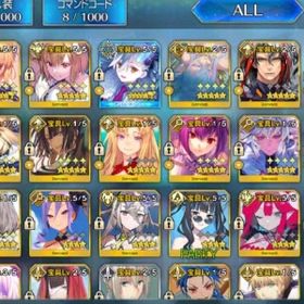 石2003個 オルガマリー宝具5 水着シエル宝具5 黒の聖杯5枚 カレイドスコープ3個 | FGOのアカウントデータ、RMTの販売・買取一覧