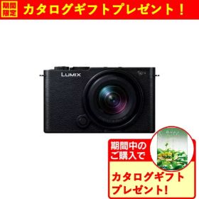 【期間限定ギフトプレゼント】パナソニック DC-S9N-K S9 広角ズームレンズキット ミラーレス一眼カメラ LUMIX ジェットブラック