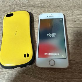 Apple iPhone SE （第1世代）32GB 中古