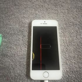 Apple iPhone SE 第一世代シルバー 本体