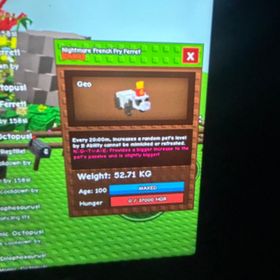 庭を成長させる‼️20分ナイトメアフェレット‼️ | ロブロックス(ROBLOX)のアカウントデータ、RMTの販売・買取一覧