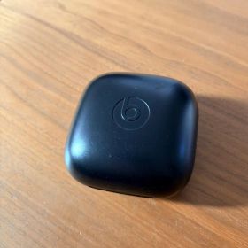 Powerbeats Pro Case Only