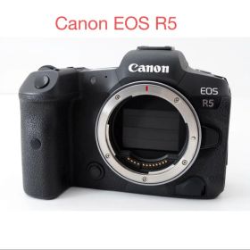 フルサイズ ミラーレス一眼レフカメラ Canon EOS R5 元箱&取扱説明書