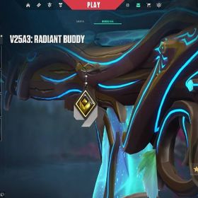 レディアント引退アカウント | VALORANT(ヴァロラント)のアカウントデータ、RMTの販売・買取一覧