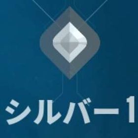 シルバー1【自作/日本国籍/メアド譲渡】 | VALORANT(ヴァロラント)のアカウントデータ、RMTの販売・買取一覧