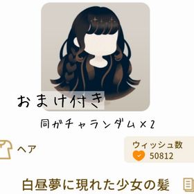 【おまけ付き】白昼夢に現れた少女の髪 | リヴリーアイランドのアイテム、RMTの販売・買取一覧