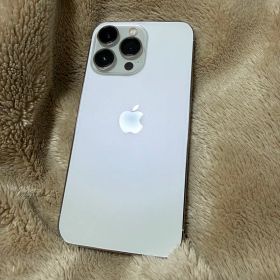 Apple iPhone 13 Pro シルバー 本体 256gb