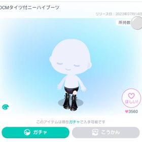 DCMタイツ付ニーハイブーツ | ピグパ(ピグパーティ)のアイテム、RMTの販売・買取一覧