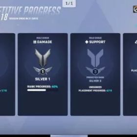 💖 シルバー ダメージ 単 💖メアド譲渡可能