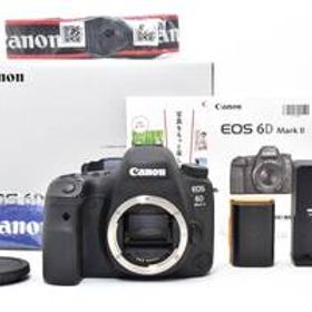 【超美品】キャノン Canon EOS 6D Mark II #222