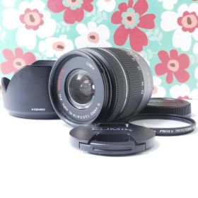 ❤Panasonic❤LUMIX G VARIO H-FS014042❤