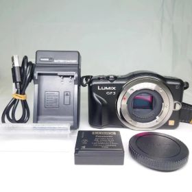 Panasonic Lumix DMC-GF3 デジタル一眼レフ 本体 付属品