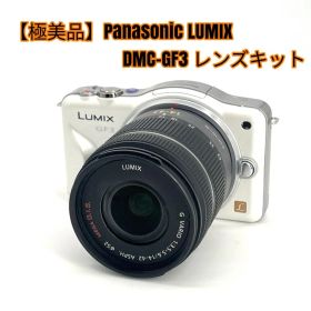 【極美品】Panasonic LUMIX DMC-GF3 レンズキット