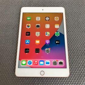 3619 電池最良好☆iPad mini5 第5世代 64GB WIFIモデル☆