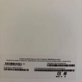 Apple iPad mini 第5世代 cellular本体