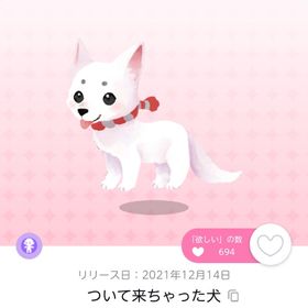 ついて来ちゃった犬 | ポケコロツイン(ポケツイ)のアカウントデータ、RMTの販売・買取一覧