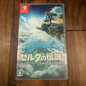 ゼルダの伝説 ティアーズ オブ ザ キングダム ティアキン ニンテンドー スイッチ Switch