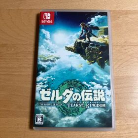 ゼルダの伝説 ティアーズ オブ ザ キングダム