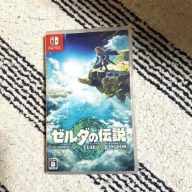 動画確認済み ゼルダの伝説 ティアーズオブザキングダム