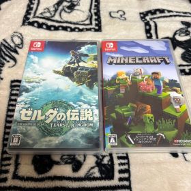 ゼルダの伝説 ティアーズ オブ ザ キングダム Minecraft