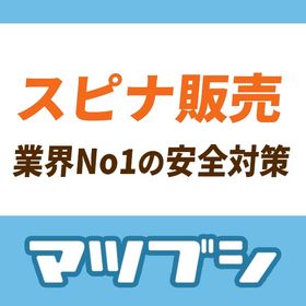 【安全重視・15分以内対応】イルーナ戦記 スピナ