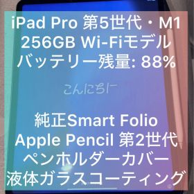 【美品】iPad Pro (12.9インチ) 第5世代 256GBフルセット