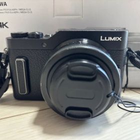 パナソニック LUMIX DC-GF10W ミラーレス ダブルズームレンズキット