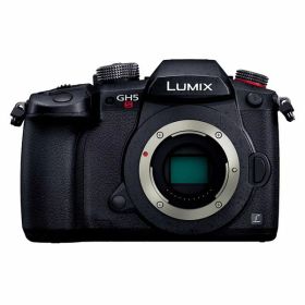 【中古】【1年保証】【美品】Panasonic LUMIX GH5S ボディ ブラック [DC-GH5S-K]