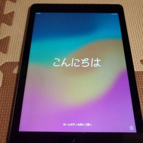 Apple iPad 本体 第6世代 (おまけ付き)