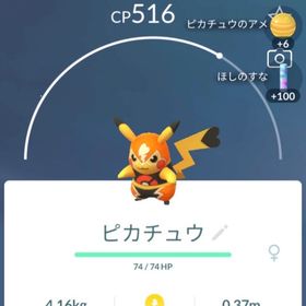 GBLランク20 マスクドピカチュウ代行 | ポケモンGOの代行、RMTの販売・買取一覧